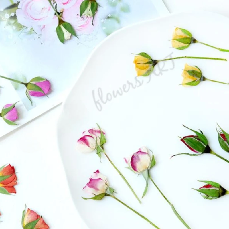 Pressed Rose Bud Flower Petals - Dried Flower Pressed review and price
