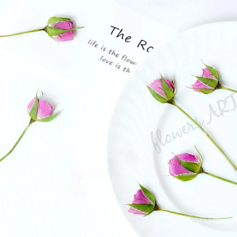 Pressed Rose Bud Flower Petals - Dried Flower Pressed review and price