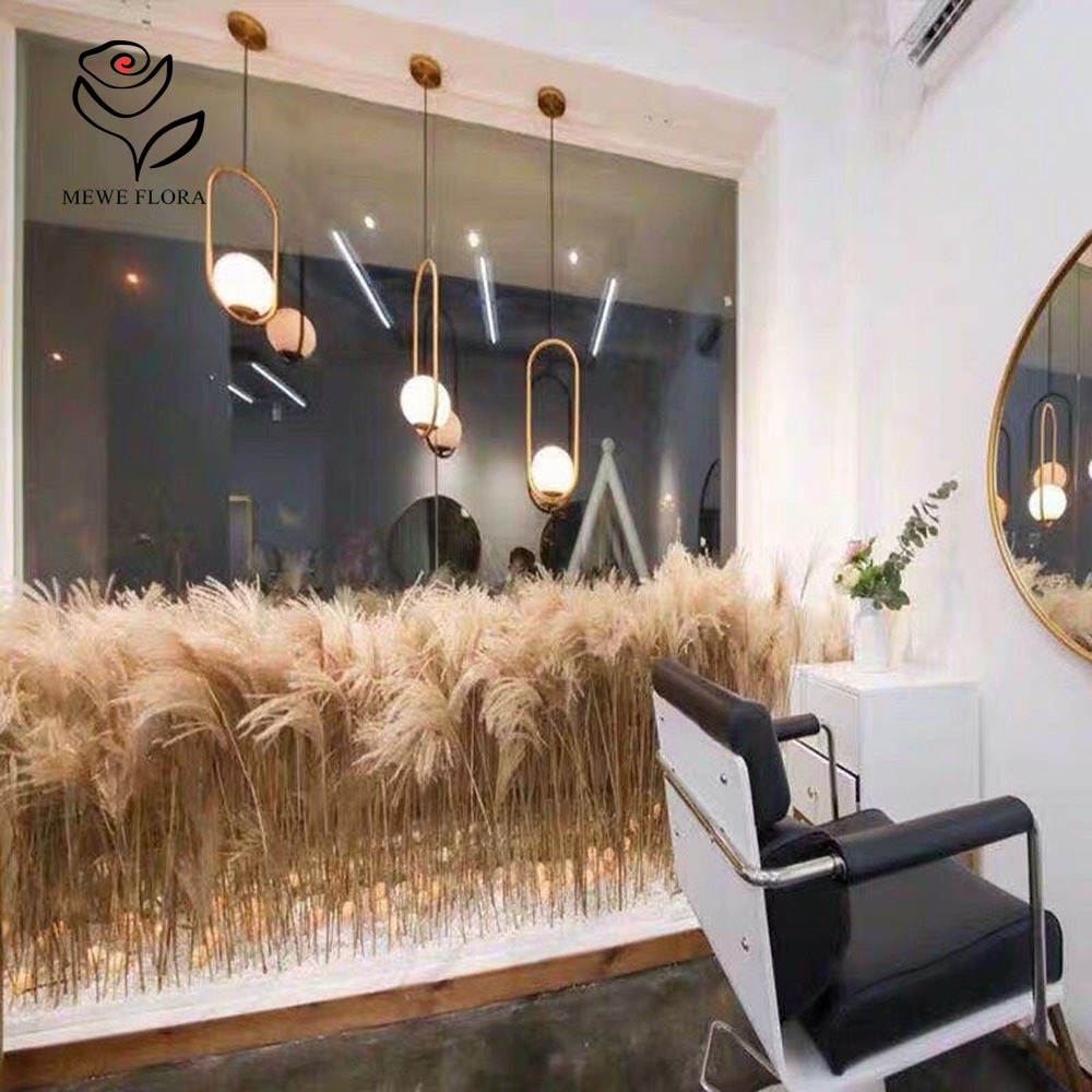 200PCS Natural Dried Fluffy Re - Dried Flower Pressed review and price