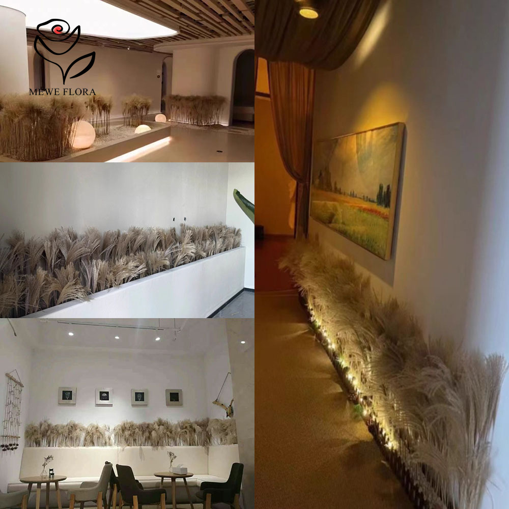 200PCS Natural Dried Fluffy Re - Dried Flower Pressed review and price