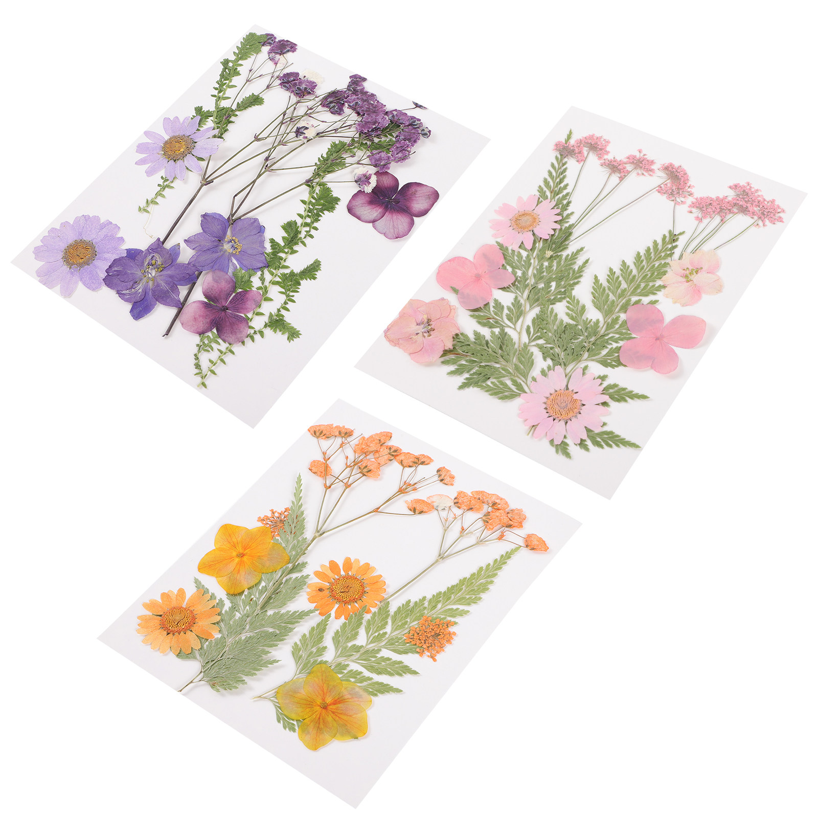 Dried Flowers Decoration Mater - Dried Flower Pressed review and price