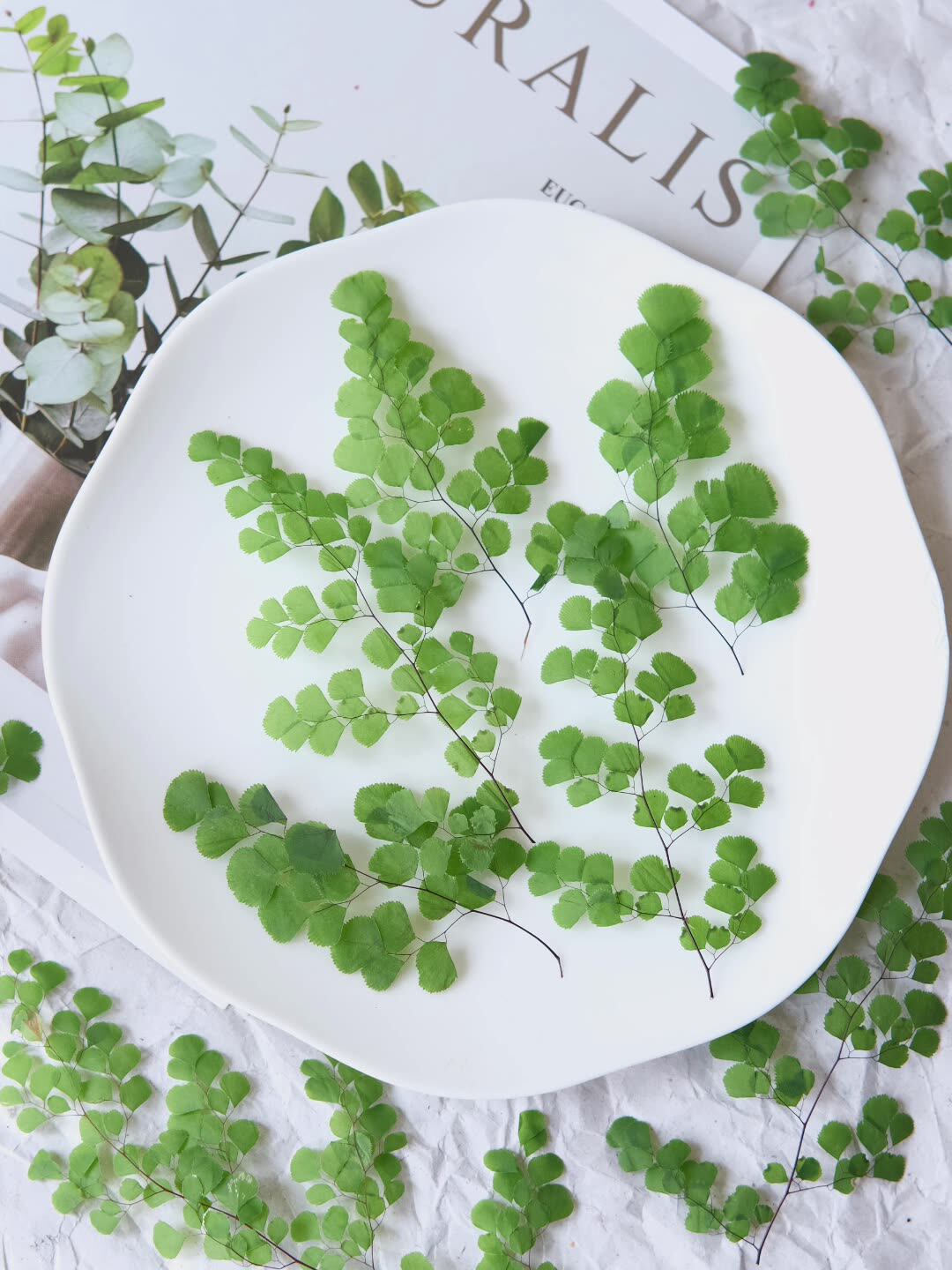 60Pcs Natural Plant Real Flowe - Dried Flower Pressed review and price