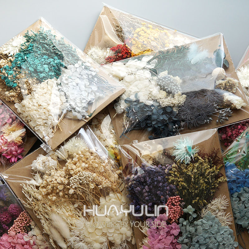 1 Pack Artificial Plants Dried - Dried Flower Pressed review and price