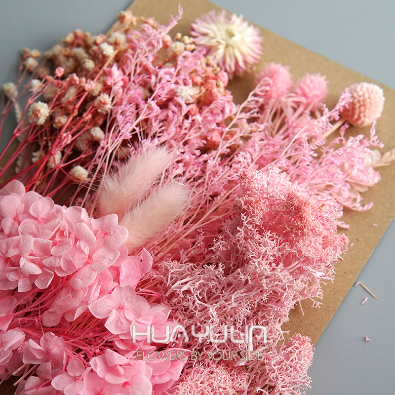 1 Pack Artificial Plants Dried - Dried Flower Pressed review and price