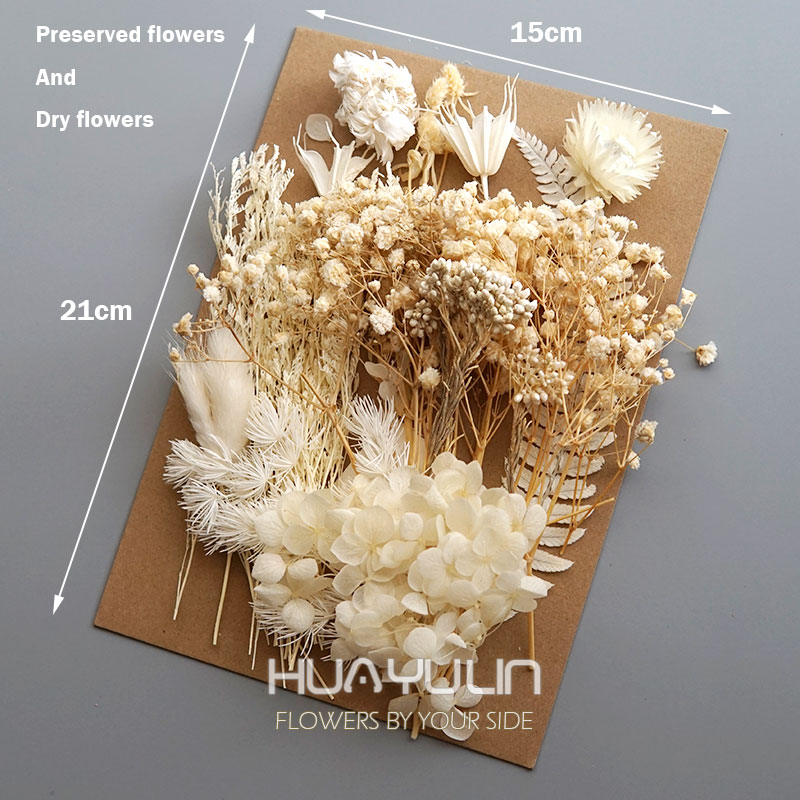 1 Pack Artificial Plants Dried - Dried Flower Pressed review and price